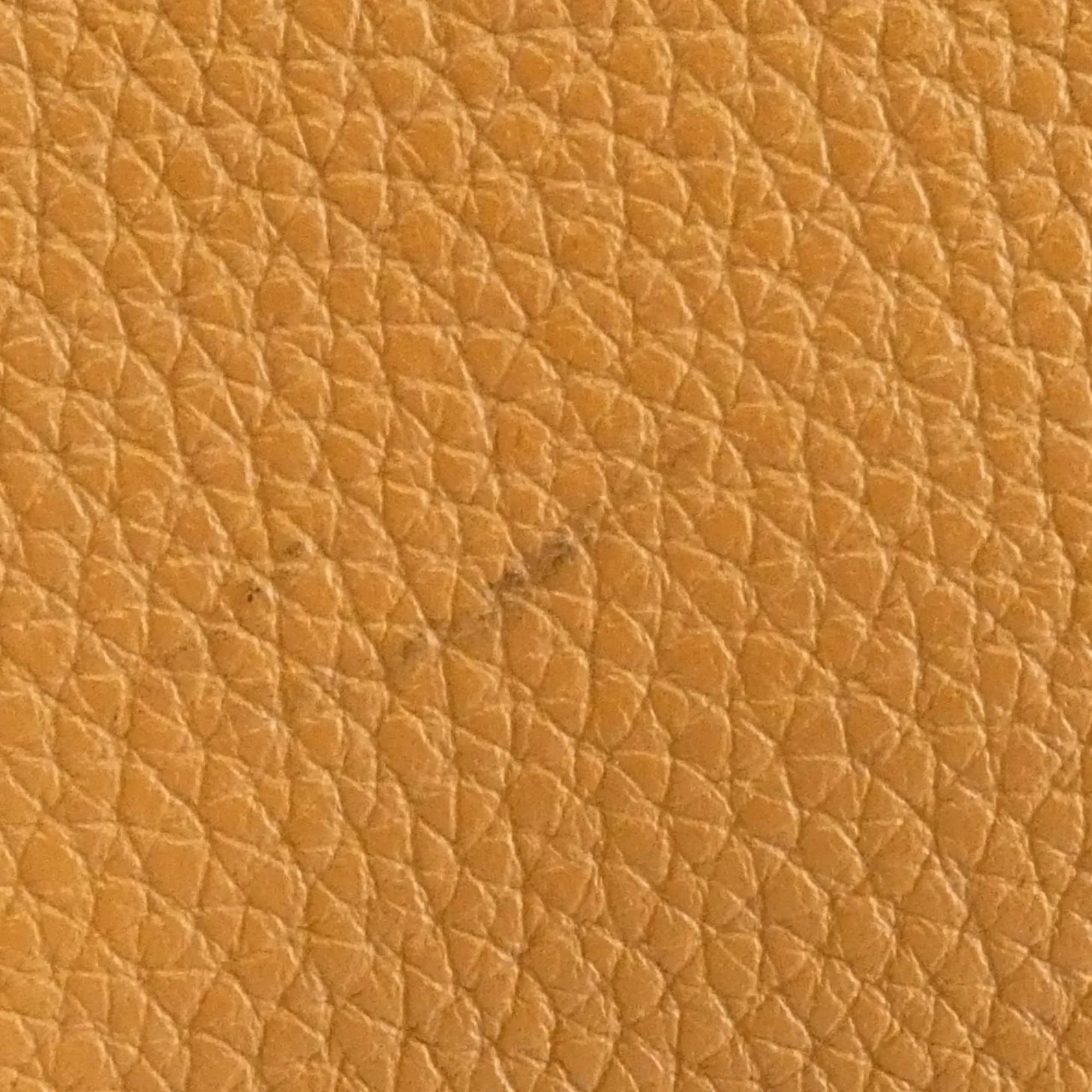 LOEWE Gold Hammock Shoulder Bag