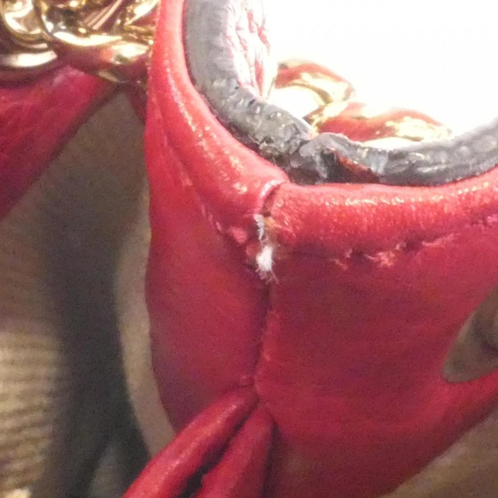 GUCCI Red Shoulder Bag